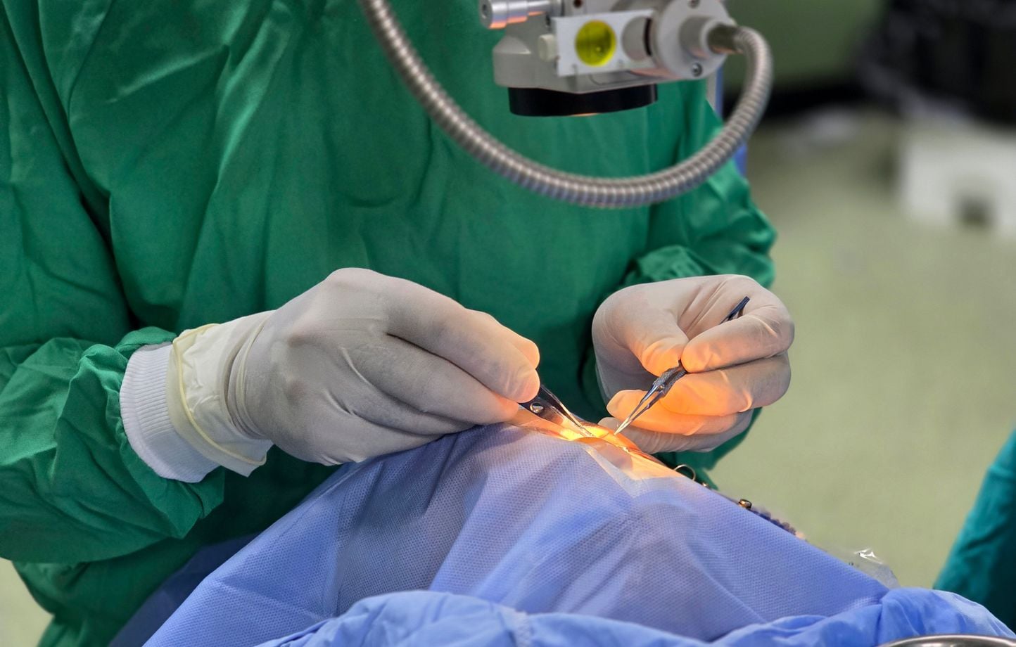 Un singular trasplante de parte de la retina permite ver a una mujer ciega Un singular trasplante de parte de la retina permite ver a una mujer ciega